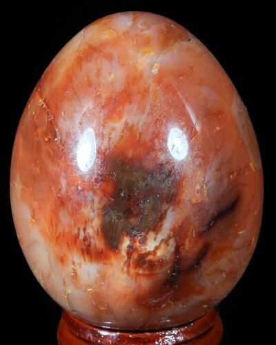 Colorful Carnelian Agate Egg #55526